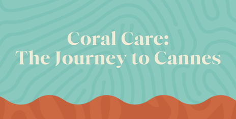 Coral Care journey